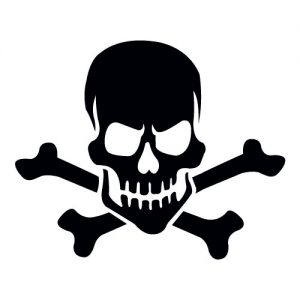 Skull Mascot Banner